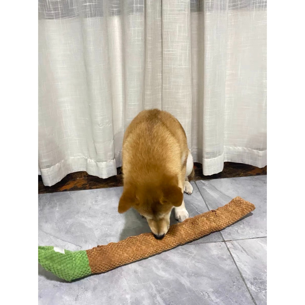 【汪喵森活】 超長玩具 狗狗 蝸牛 狗玩具 藏食玩具 發聲玩具 寵物玩具 發聲玩偶 咬咬玩具 益智玩具 嗅聞玩具 陪伴-細節圖7