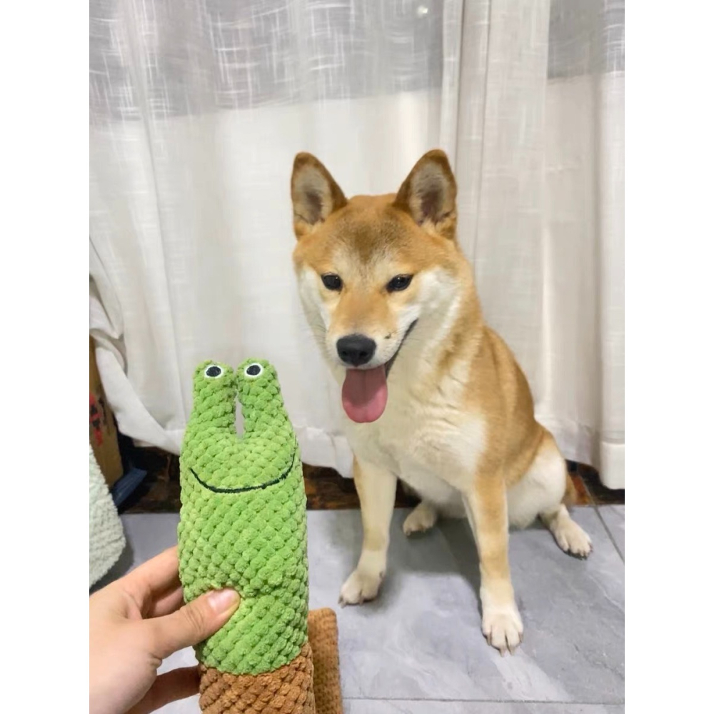 【汪喵森活】 超長玩具 狗狗 蝸牛 狗玩具 藏食玩具 發聲玩具 寵物玩具 發聲玩偶 咬咬玩具 益智玩具 嗅聞玩具 陪伴-細節圖8