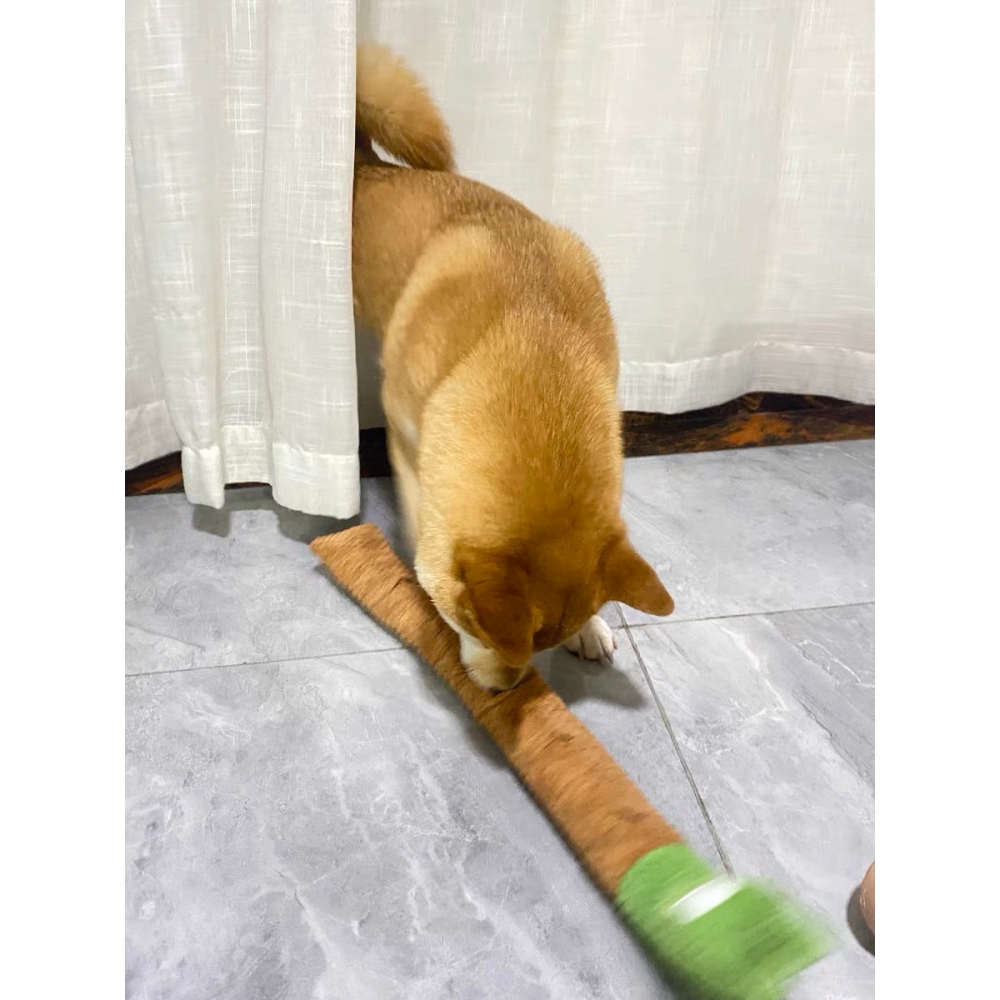 【汪喵森活】 超長玩具 狗狗 蝸牛 狗玩具 藏食玩具 發聲玩具 寵物玩具 發聲玩偶 咬咬玩具 益智玩具 嗅聞玩具 陪伴-細節圖9