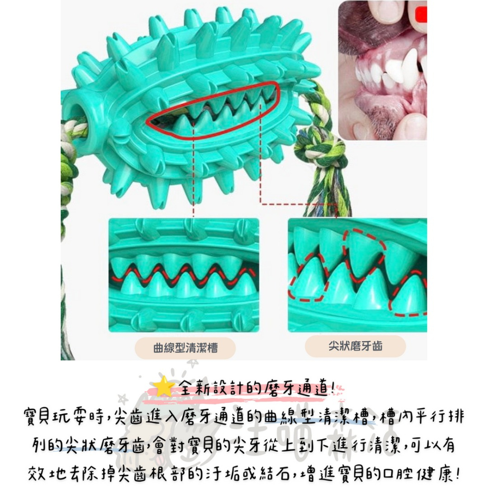 【汪喵森活】 仙人球 潔齒玩具 刷牙玩具 藏食玩具 發聲玩具 寵物玩具 狗牙刷 咬咬玩具 益智玩具 嗅聞玩具 潔牙-細節圖2