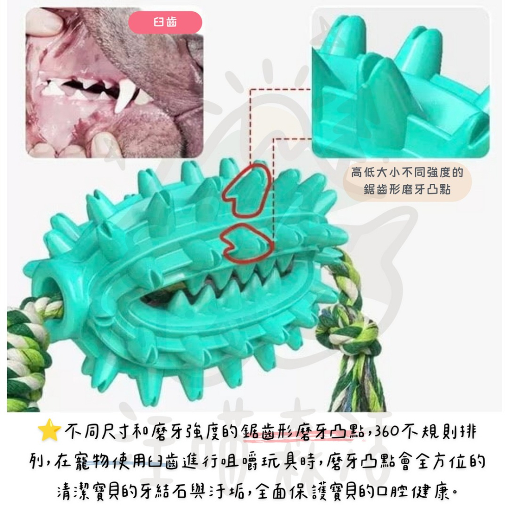 【汪喵森活】 仙人球 潔齒玩具 刷牙玩具 藏食玩具 發聲玩具 寵物玩具 狗牙刷 咬咬玩具 益智玩具 嗅聞玩具 潔牙-細節圖5