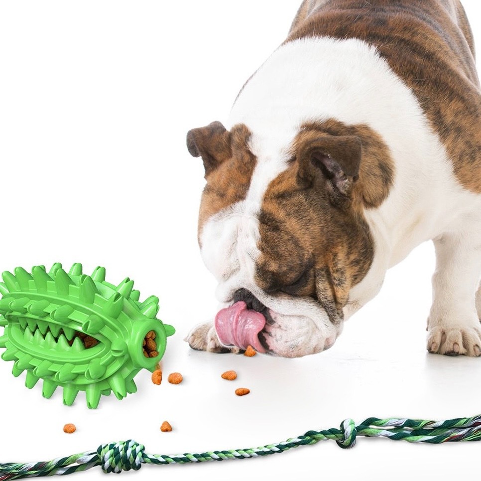 【汪喵森活】 仙人球 潔齒玩具 刷牙玩具 藏食玩具 發聲玩具 寵物玩具 狗牙刷 咬咬玩具 益智玩具 嗅聞玩具 潔牙-細節圖7