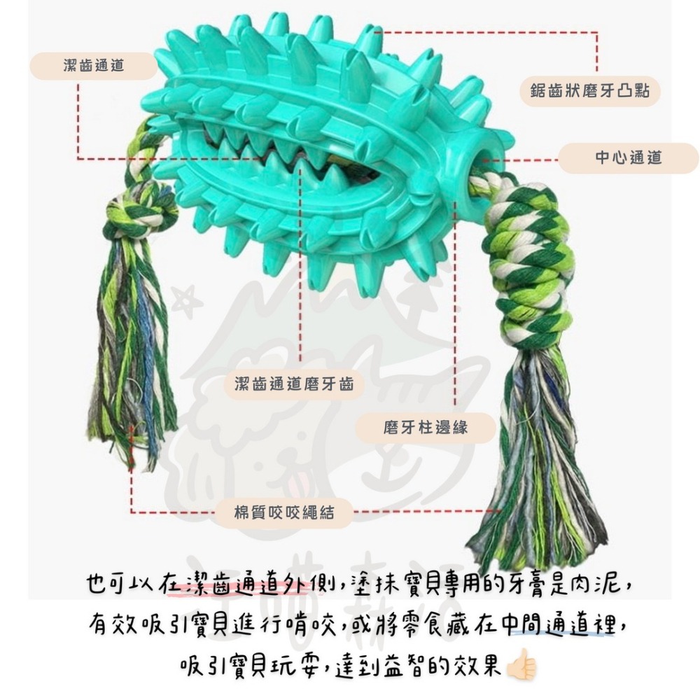 【汪喵森活】 仙人球 潔齒玩具 刷牙玩具 藏食玩具 發聲玩具 寵物玩具 狗牙刷 咬咬玩具 益智玩具 嗅聞玩具 潔牙-細節圖3
