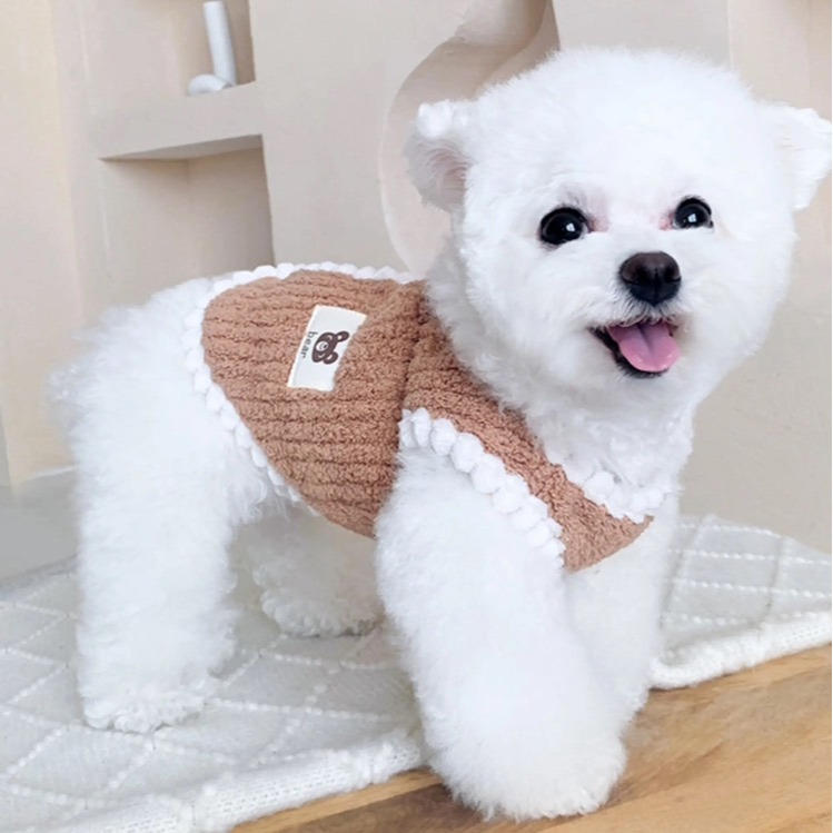 【汪喵森活】 Bear小標 寵物背心 狗衣服 比熊 博美 貴賓 貓咪 小型犬服飾 吉娃娃 西施 比熊 寵物服飾 保暖衣服-細節圖4