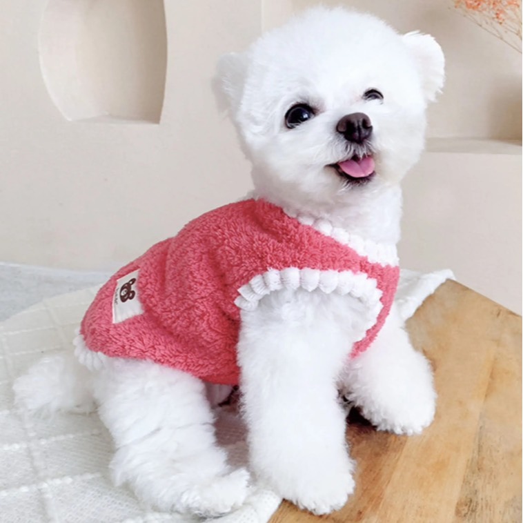 【汪喵森活】 Bear小標 寵物背心 狗衣服 比熊 博美 貴賓 貓咪 小型犬服飾 吉娃娃 西施 比熊 寵物服飾 保暖衣服-細節圖6