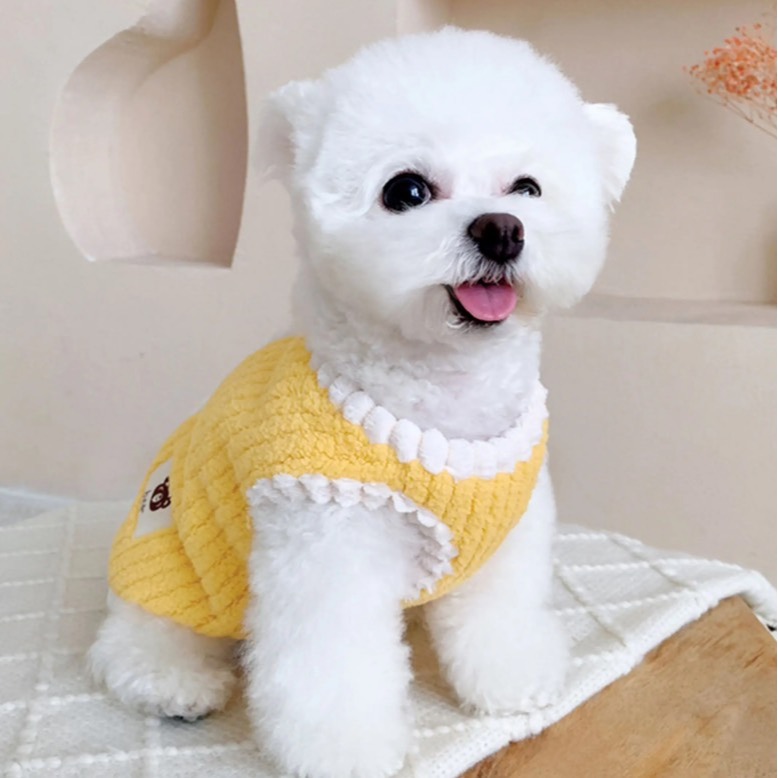 【汪喵森活】 Bear小標 寵物背心 狗衣服 比熊 博美 貴賓 貓咪 小型犬服飾 吉娃娃 西施 比熊 寵物服飾 保暖衣服-細節圖8