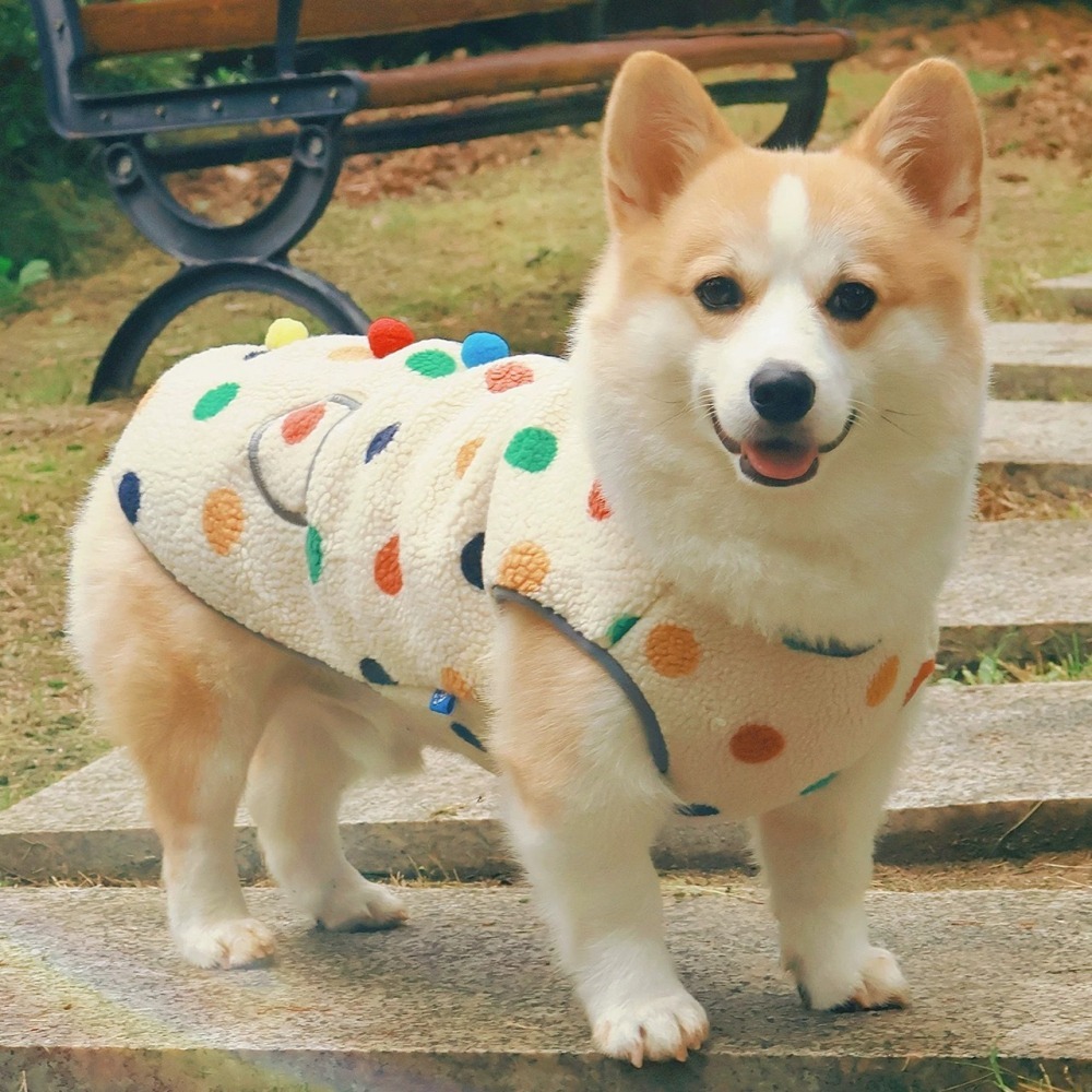 【汪喵森活】 彩色點點 圓點鈕扣 寵物背心 狗衣服 寵物衣服 秋冬服飾 中型犬 雪納瑞 西高地 比熊 柯基 柴犬-細節圖5