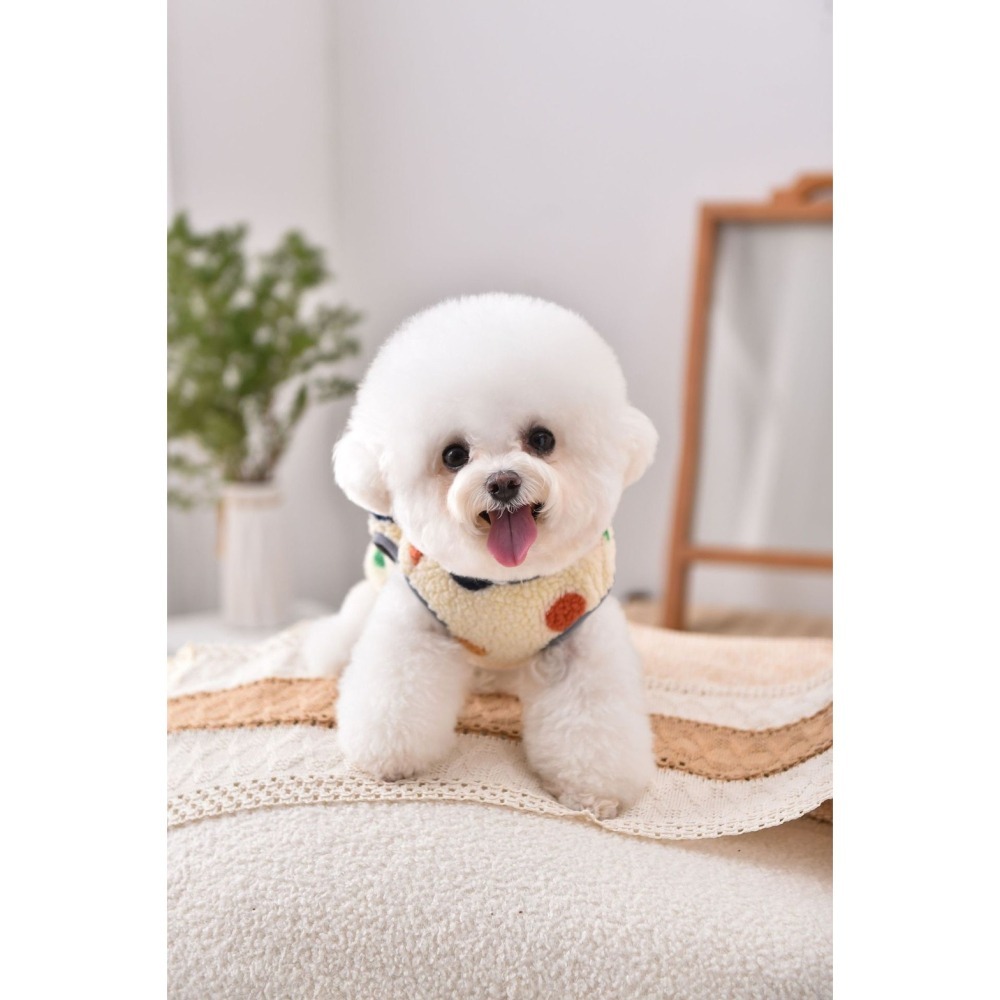 【汪喵森活】 彩色點點 圓點鈕扣 寵物背心 狗衣服 寵物衣服 秋冬服飾 中型犬 雪納瑞 西高地 比熊 柯基 柴犬-細節圖8