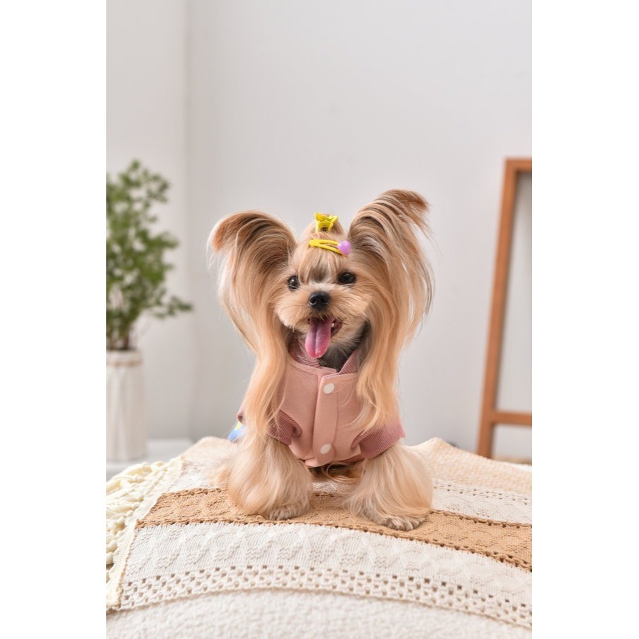 【汪喵森活】 Hi汪汪 格子領背心 寵物背心 狗衣服 寵物衣服 秋冬服飾 中型犬 雪納瑞 西高地 比熊 柯基 柴犬-細節圖5