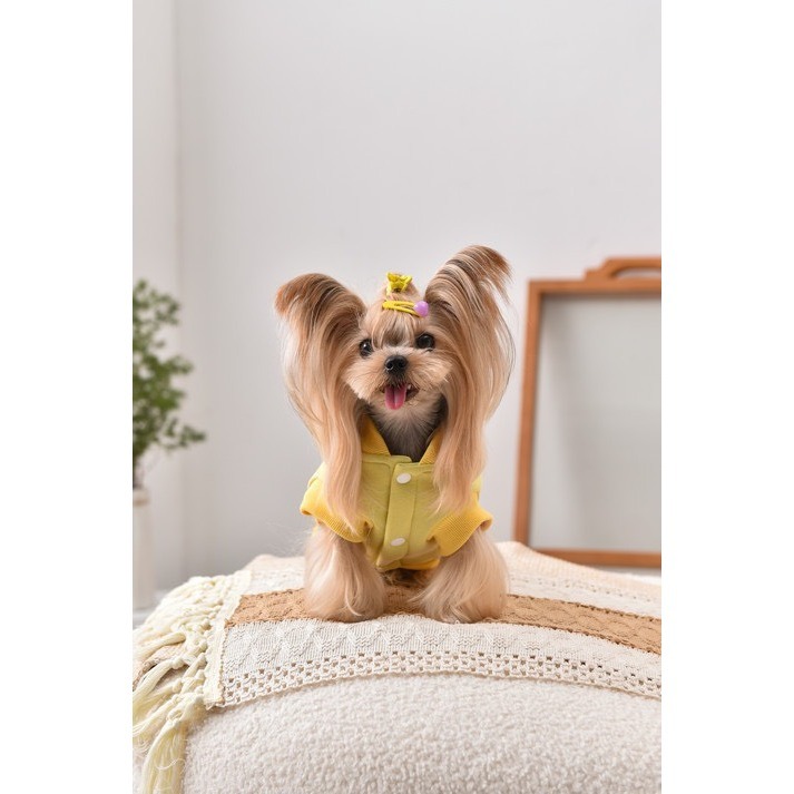 【汪喵森活】 Hi汪汪 格子領背心 寵物背心 狗衣服 寵物衣服 秋冬服飾 中型犬 雪納瑞 西高地 比熊 柯基 柴犬-細節圖7