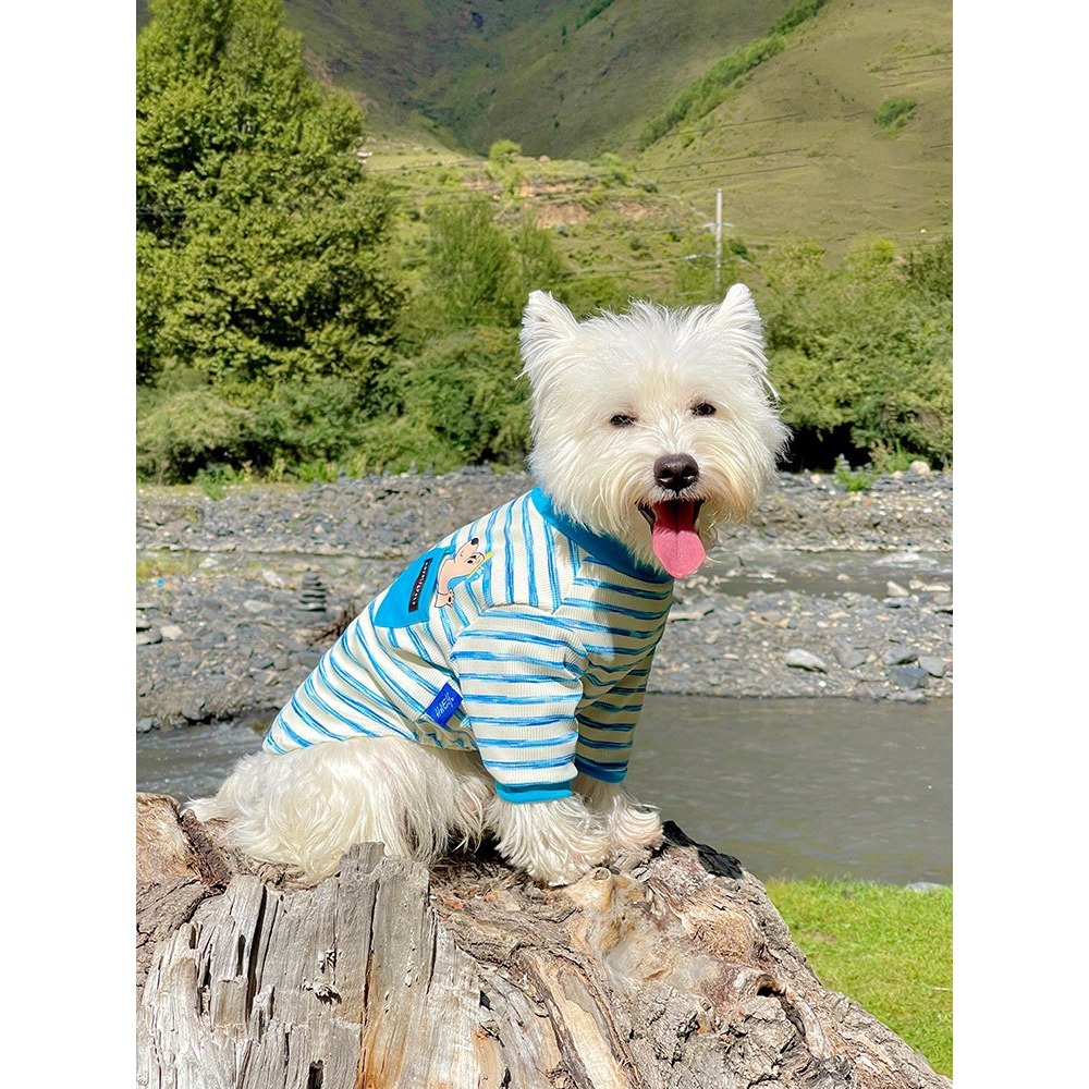 【汪喵森活】貓狗 彈力條紋棉衣 4款 狗衣服 寵物衣服 秋冬服飾 中型犬 雪納瑞 西高地 比熊 柯基 柴犬 法鬥-細節圖3