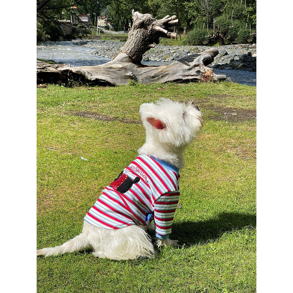 【汪喵森活】貓狗 彈力條紋棉衣 4款 狗衣服 寵物衣服 秋冬服飾 中型犬 雪納瑞 西高地 比熊 柯基 柴犬 法鬥-細節圖7