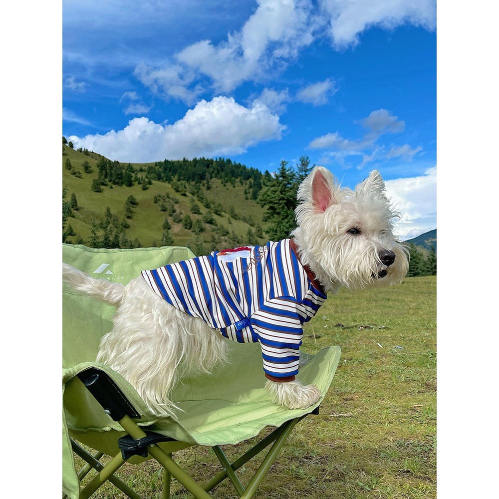 【汪喵森活】貓狗 彈力條紋棉衣 4款 狗衣服 寵物衣服 秋冬服飾 中型犬 雪納瑞 西高地 比熊 柯基 柴犬 法鬥-細節圖8