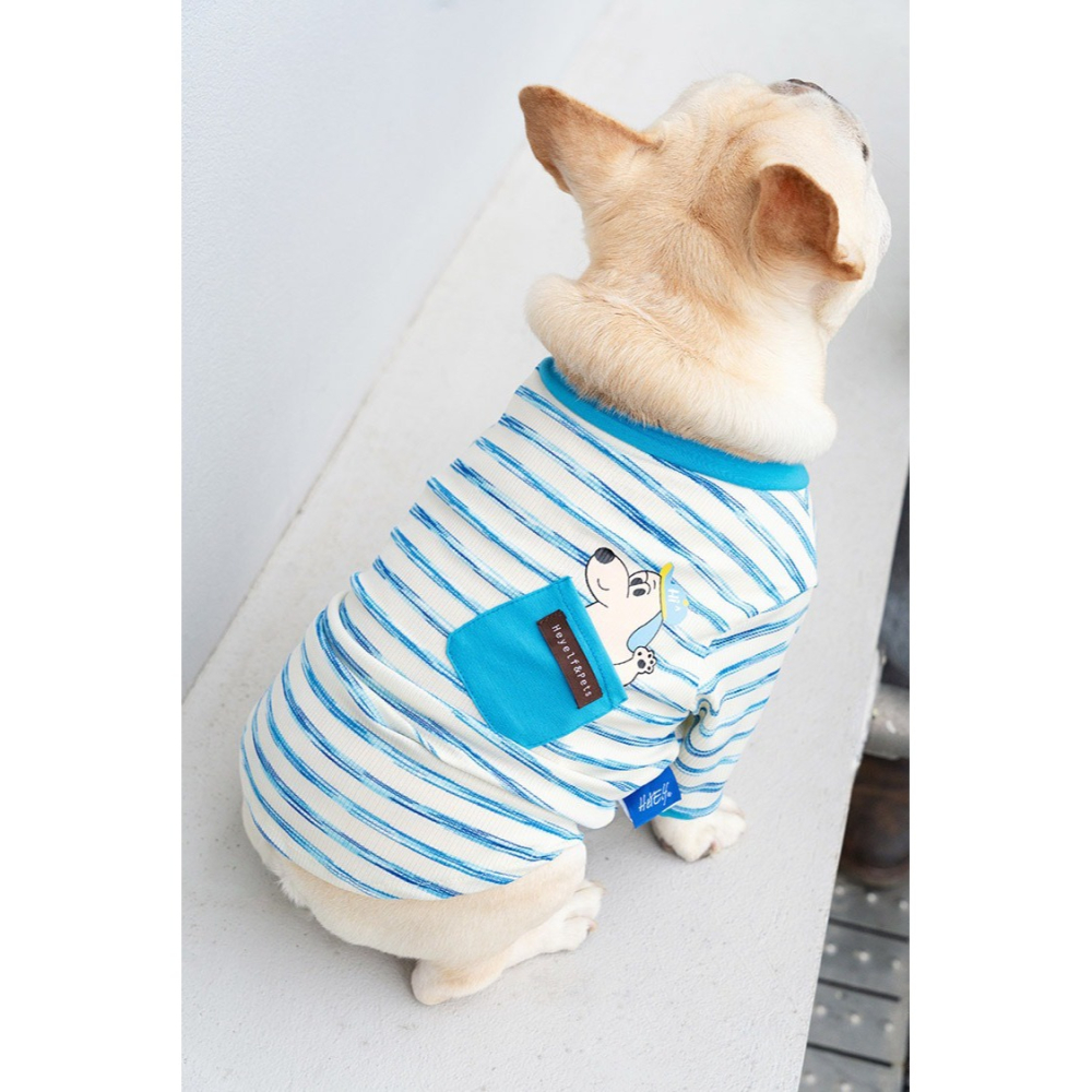 【汪喵森活】貓狗 彈力條紋棉衣 4款 狗衣服 寵物衣服 秋冬服飾 中型犬 雪納瑞 西高地 比熊 柯基 柴犬 法鬥-細節圖10