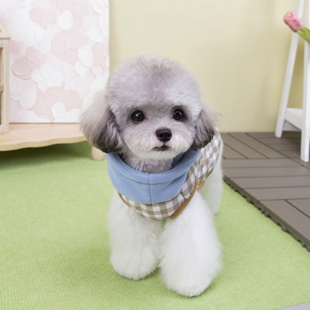 【汪喵森活】 高領格子 2色 熊熊 防風背心 可牽引 狗衣服 寵物衣服 秋冬服飾 小型犬 雪納瑞 比熊 貴賓 貓咪 博美-細節圖8