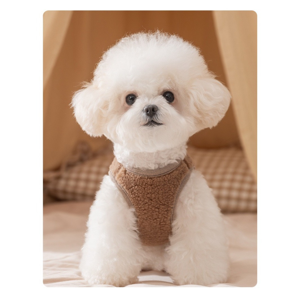 【汪喵森活】 Bear三隻熊 鈕扣背心 寵物背心 保暖背心 狗衣服 寵物衣服 秋冬服飾 小型犬 雪納瑞 比熊 貴賓 貓咪-細節圖8