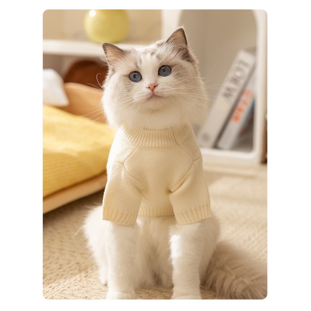 【汪喵森活】 彩色Apple 微笑毛衣 寵物毛衣 狗衣服 寵物衣服 秋冬服飾 小型犬 雪納瑞 比熊 貴賓 貓咪 博美-細節圖4