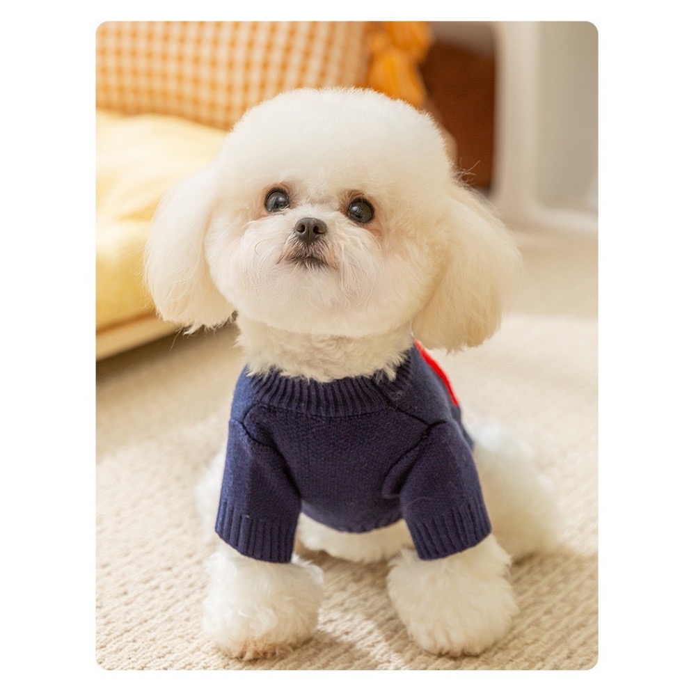 【汪喵森活】 彩色Apple 微笑毛衣 寵物毛衣 狗衣服 寵物衣服 秋冬服飾 小型犬 雪納瑞 比熊 貴賓 貓咪 博美-細節圖7