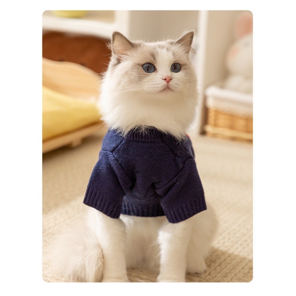 【汪喵森活】 彩色Apple 微笑毛衣 寵物毛衣 狗衣服 寵物衣服 秋冬服飾 小型犬 雪納瑞 比熊 貴賓 貓咪 博美-細節圖8