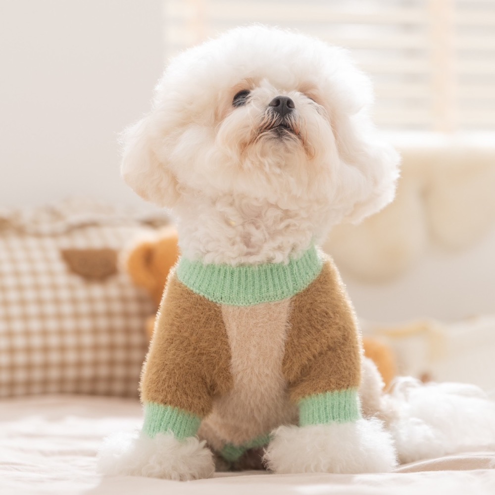 【汪喵森活】 仿貂毛 2色柔軟 四腳衣 打底衣 寵物毛衣 狗衣服 寵物衣服 秋冬服飾 小型犬 雪納瑞 比熊 貴賓 貓咪-細節圖4