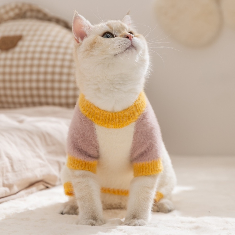 【汪喵森活】 仿貂毛 2色柔軟 四腳衣 打底衣 寵物毛衣 狗衣服 寵物衣服 秋冬服飾 小型犬 雪納瑞 比熊 貴賓 貓咪-細節圖6