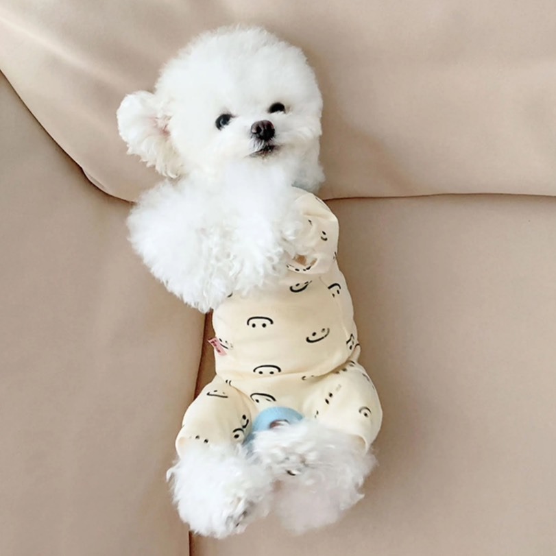 【汪喵森活】 純棉包肚 彈力四腳衣 打底衣 防舔衣 術後 寵物結紮 狗衣服 寵物衣服 秋冬服飾 小型犬 比熊 貴賓 貓咪-細節圖4