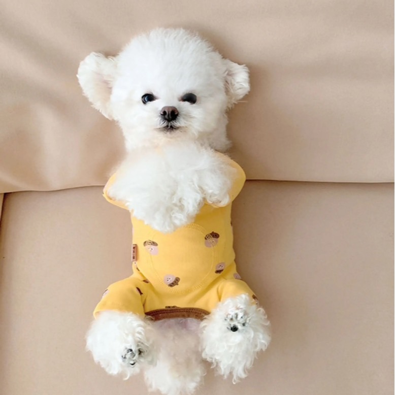 【汪喵森活】 純棉包肚 彈力四腳衣 打底衣 防舔衣 術後 寵物結紮 狗衣服 寵物衣服 秋冬服飾 小型犬 比熊 貴賓 貓咪-細節圖7