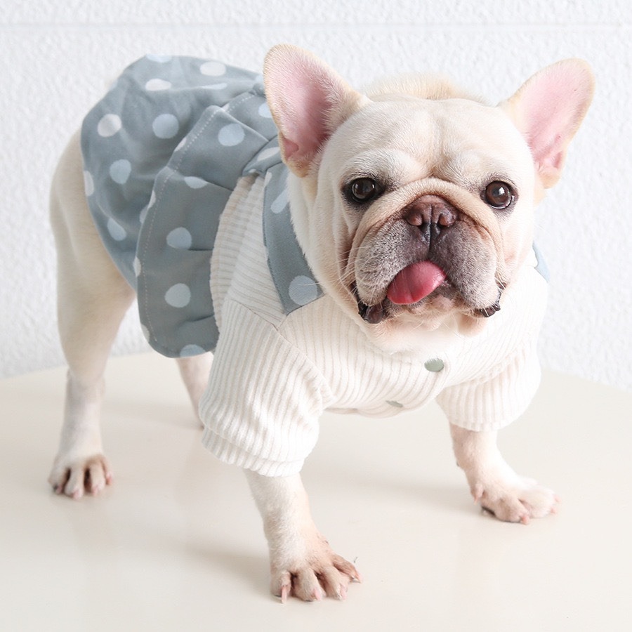 【汪喵森活】圓點絨吊帶裙 假兩件 蝴蝶結 狗衣服 寵物衣服 秋冬服飾 小型犬 雪納瑞 比熊 貴賓 貓咪 保暖-細節圖2