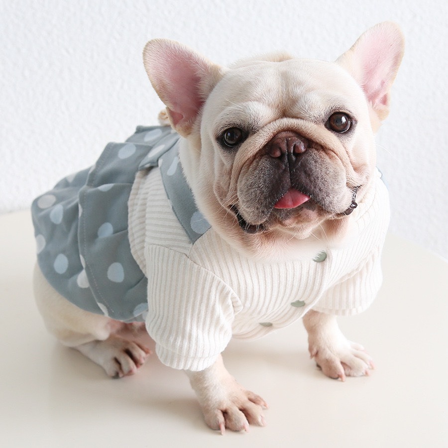 【汪喵森活】圓點絨吊帶裙 假兩件 蝴蝶結 狗衣服 寵物衣服 秋冬服飾 小型犬 雪納瑞 比熊 貴賓 貓咪 保暖-細節圖4