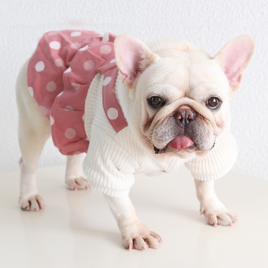 【汪喵森活】圓點絨吊帶裙 假兩件 蝴蝶結 狗衣服 寵物衣服 秋冬服飾 小型犬 雪納瑞 比熊 貴賓 貓咪 保暖-細節圖5