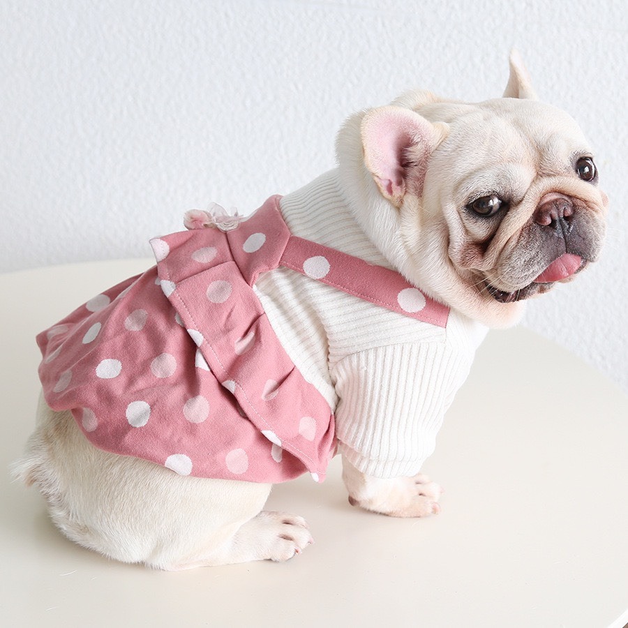 【汪喵森活】圓點絨吊帶裙 假兩件 蝴蝶結 狗衣服 寵物衣服 秋冬服飾 小型犬 雪納瑞 比熊 貴賓 貓咪 保暖-細節圖6