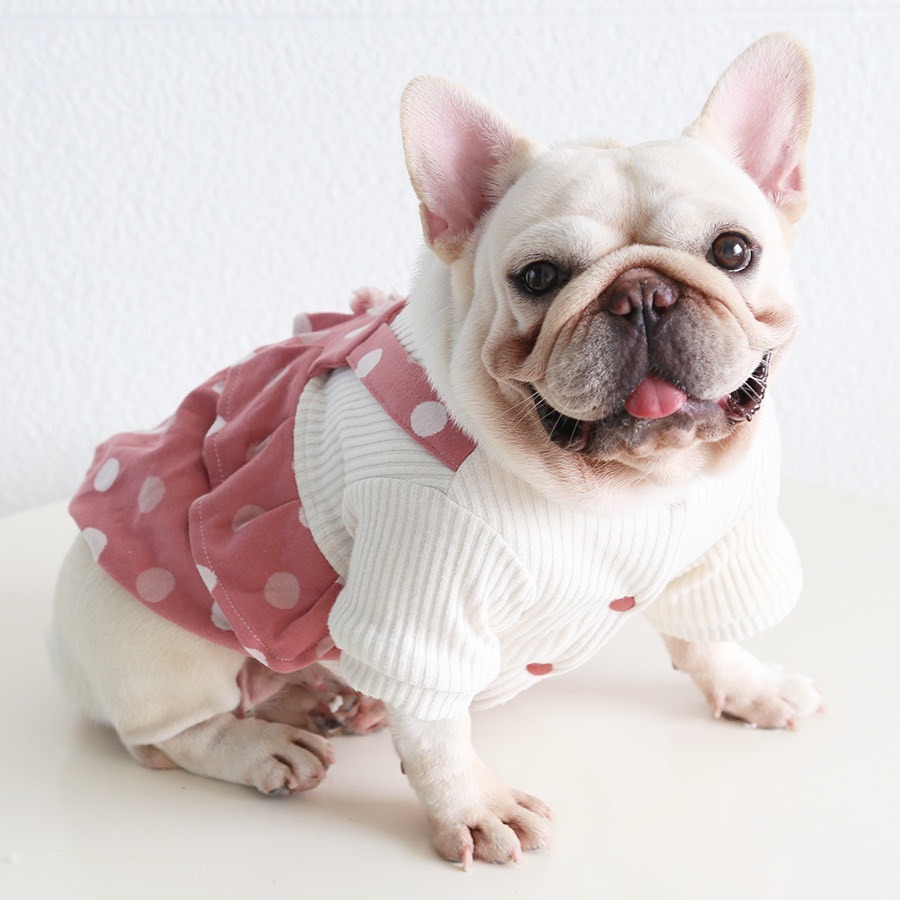 【汪喵森活】圓點絨吊帶裙 假兩件 蝴蝶結 狗衣服 寵物衣服 秋冬服飾 小型犬 雪納瑞 比熊 貴賓 貓咪 保暖-細節圖10