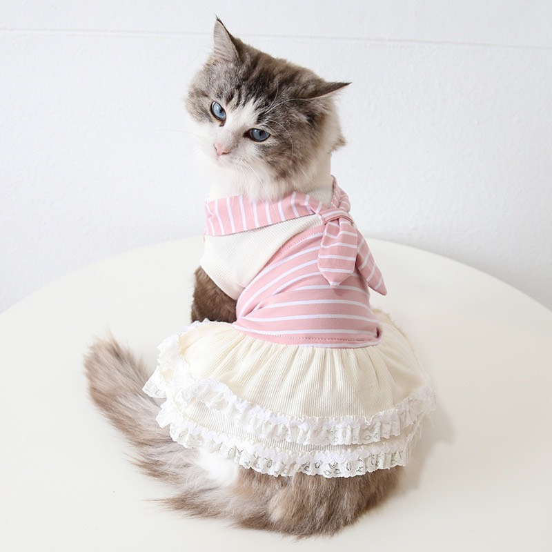 【汪喵森活】 粉色領巾 條紋姊妹裝 情侶裝 背心 洋裝 寵物洋裝 寵物衣服 狗衣服 比熊 博美 貴賓 貓咪 小型犬 臘腸-細節圖5