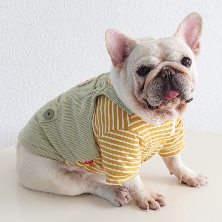 【汪喵森活】 小胖熊 條紋吊帶衣 假兩件 小口袋 狗衣服 比熊 博美 貴賓 貓咪 小型犬 法鬥 英鬥-細節圖3