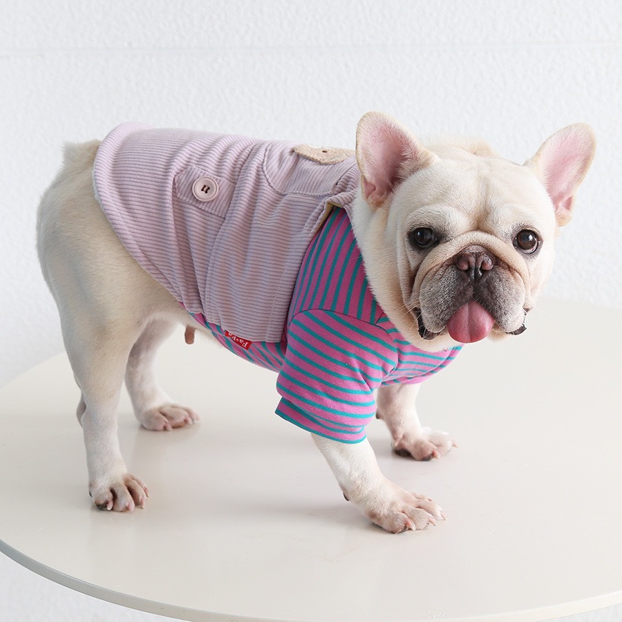 【汪喵森活】 小胖熊 條紋吊帶衣 假兩件 小口袋 狗衣服 比熊 博美 貴賓 貓咪 小型犬 法鬥 英鬥-細節圖5