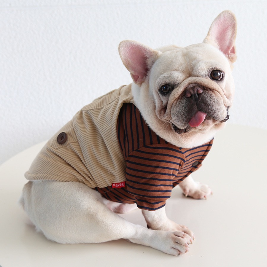 【汪喵森活】 小胖熊 條紋吊帶衣 假兩件 小口袋 狗衣服 比熊 博美 貴賓 貓咪 小型犬 法鬥 英鬥-細節圖7