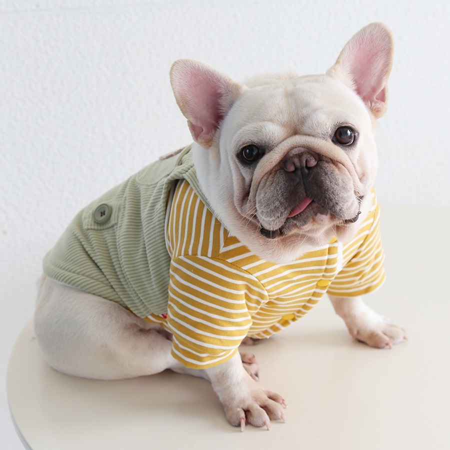 【汪喵森活】 小胖熊 條紋吊帶衣 假兩件 小口袋 狗衣服 比熊 博美 貴賓 貓咪 小型犬 法鬥 英鬥-細節圖8