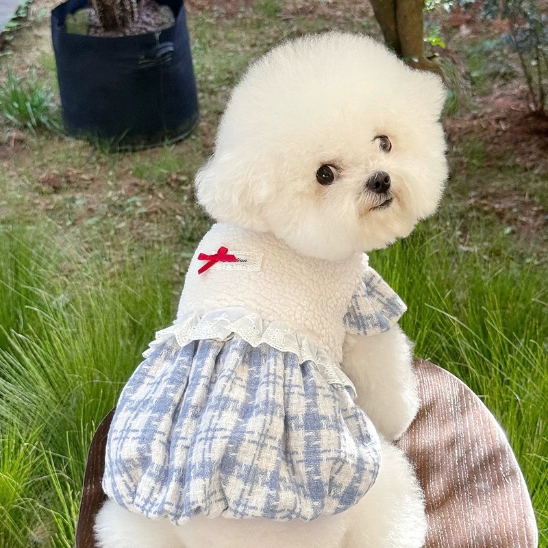【汪喵森活】 水藍色 小香風 南瓜裙 洋裝 寵物洋裝 寵物衣服 狗衣服 比熊 博美 貴賓 貓咪 小型犬 臘腸-細節圖3