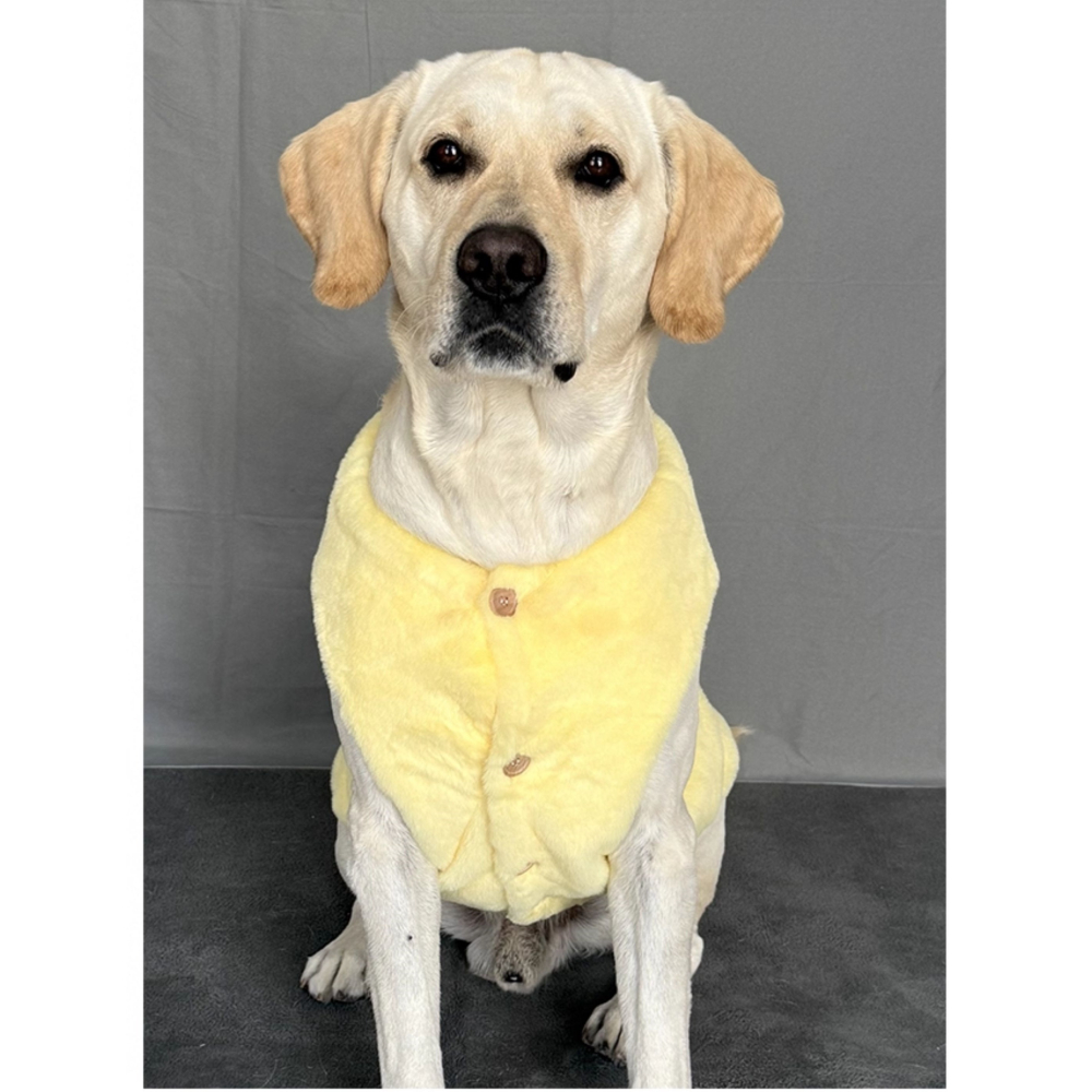 【汪喵森活】 冰島小屋 仿貂毛 柔軟舒適 寵物背心 保暖背心 狗衣服 黃金獵犬 薩摩耶 柴犬 柯基 米克斯 邊境 貴賓-細節圖5