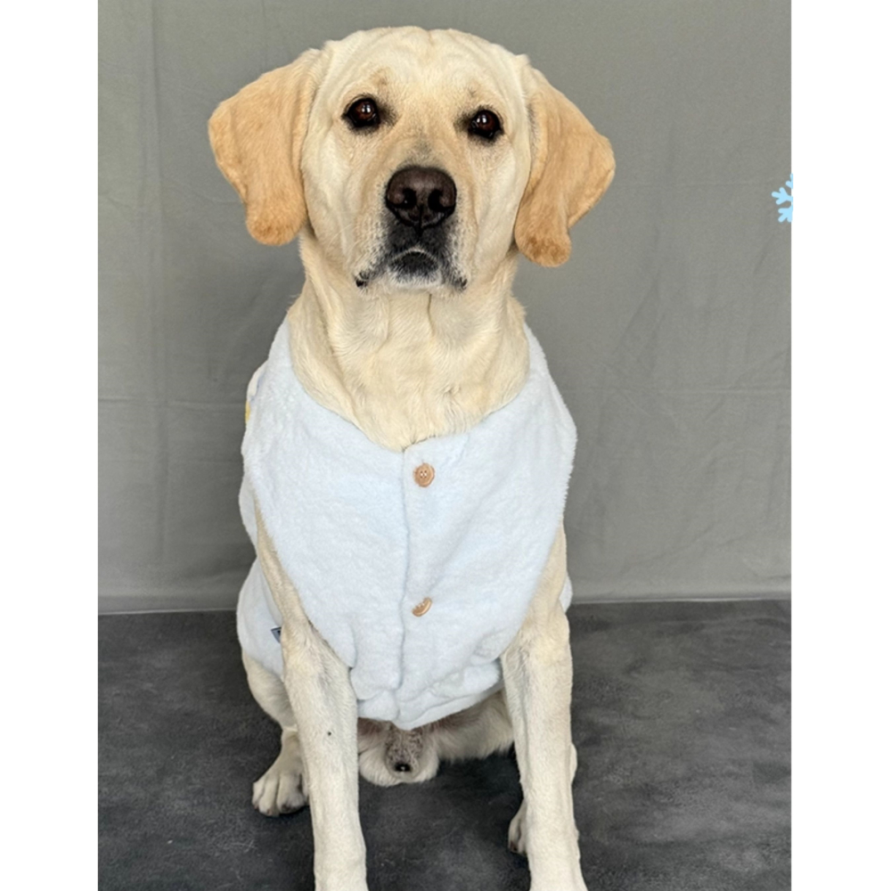 【汪喵森活】 冰島小屋 仿貂毛 柔軟舒適 寵物背心 保暖背心 狗衣服 黃金獵犬 薩摩耶 柴犬 柯基 米克斯 邊境 貴賓-細節圖7