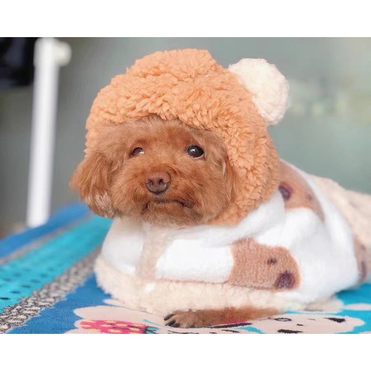 【汪喵森活】 泰迪熊 熊耳 寵物睡衣 寵物披風 寵物睡袍 秋冬服飾 狗衣服 柴犬 米克斯 比熊 柯基 睡衣 睡袍 貓咪-細節圖8