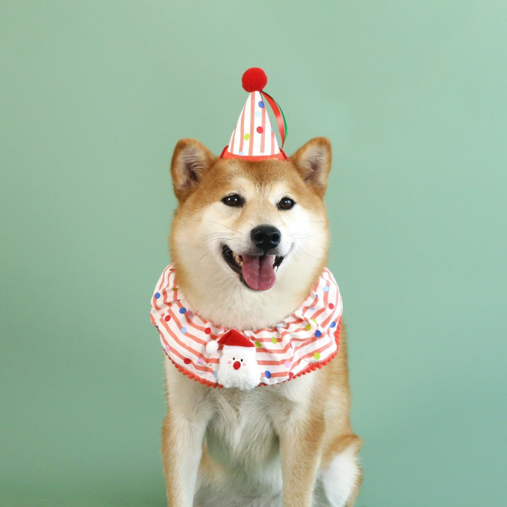 【汪喵森活】 聖誕節 領巾 脖圍可調 聖誕老人 聖誕樹 寵物項鍊 寵物領巾 聖誕圍巾 狗圍巾 狗圍脖 貓圍巾 寵物飾品-細節圖2