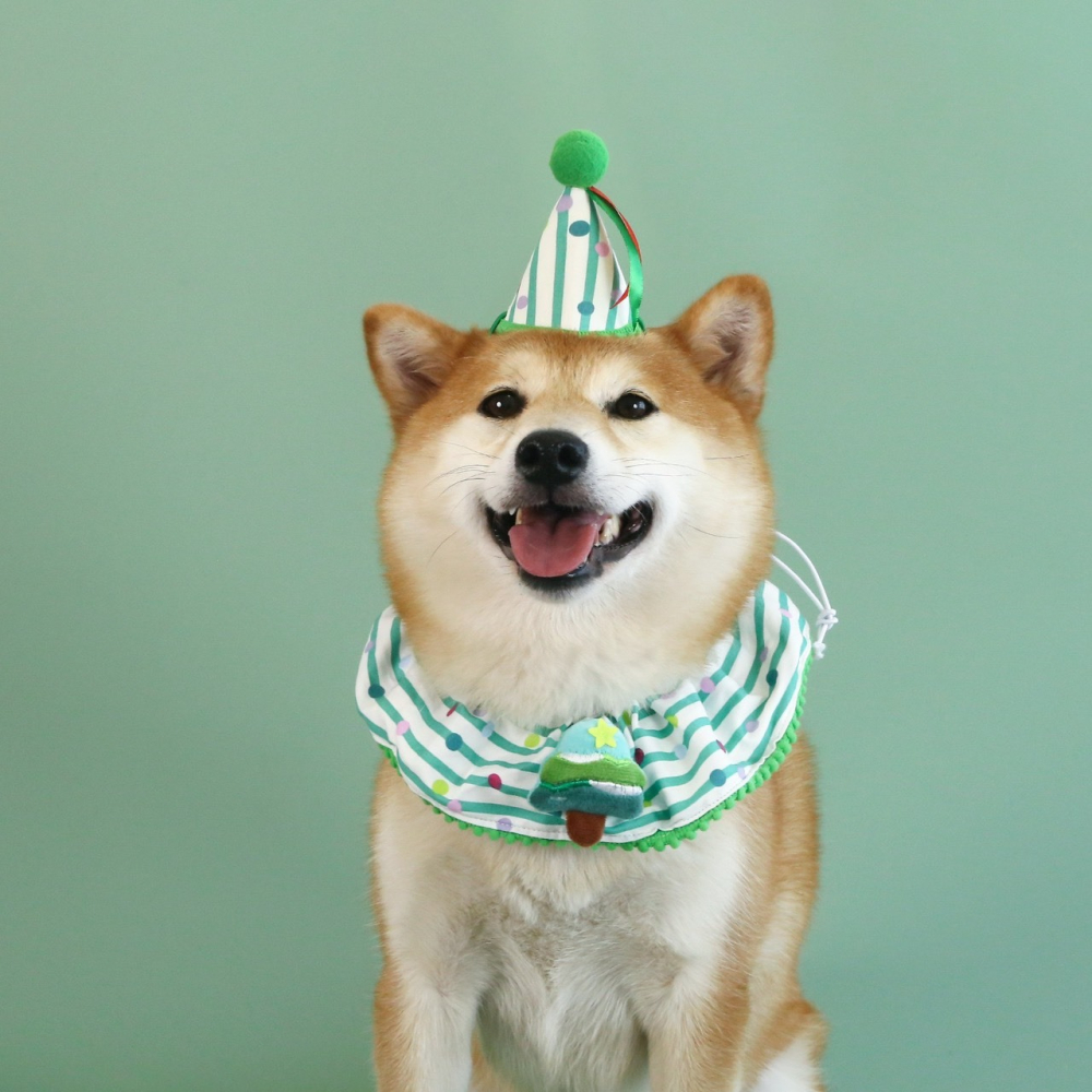 【汪喵森活】 聖誕節 領巾 脖圍可調 聖誕老人 聖誕樹 寵物項鍊 寵物領巾 聖誕圍巾 狗圍巾 狗圍脖 貓圍巾 寵物飾品-細節圖3