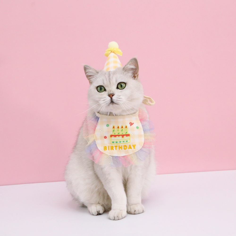 【汪喵森活】 ins風 4色 生日 口水巾 生日帽 派對帽 寵物圍兜 生日快樂 生日派對 生日配件 生日圍兜 生日領巾-細節圖4