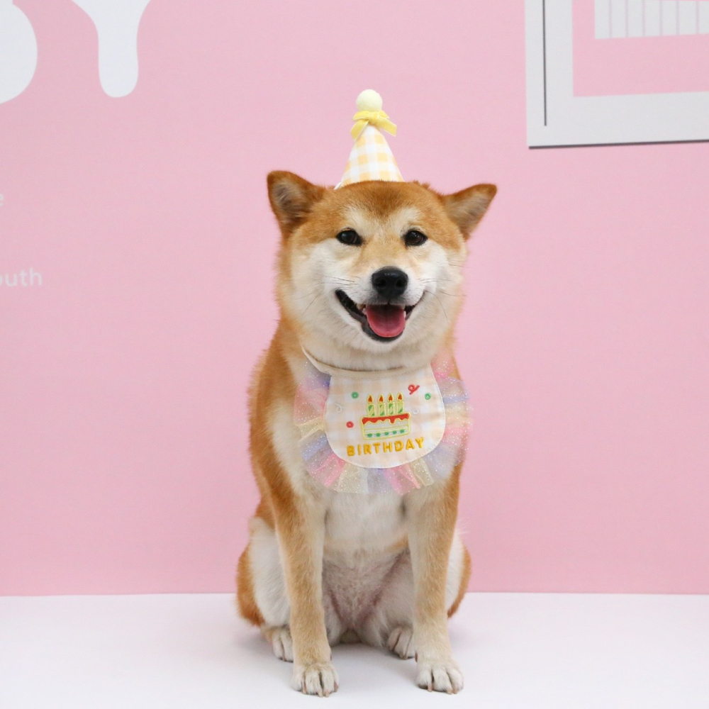 【汪喵森活】 ins風 4色 生日 口水巾 生日帽 派對帽 寵物圍兜 生日快樂 生日派對 生日配件 生日圍兜 生日領巾-細節圖6