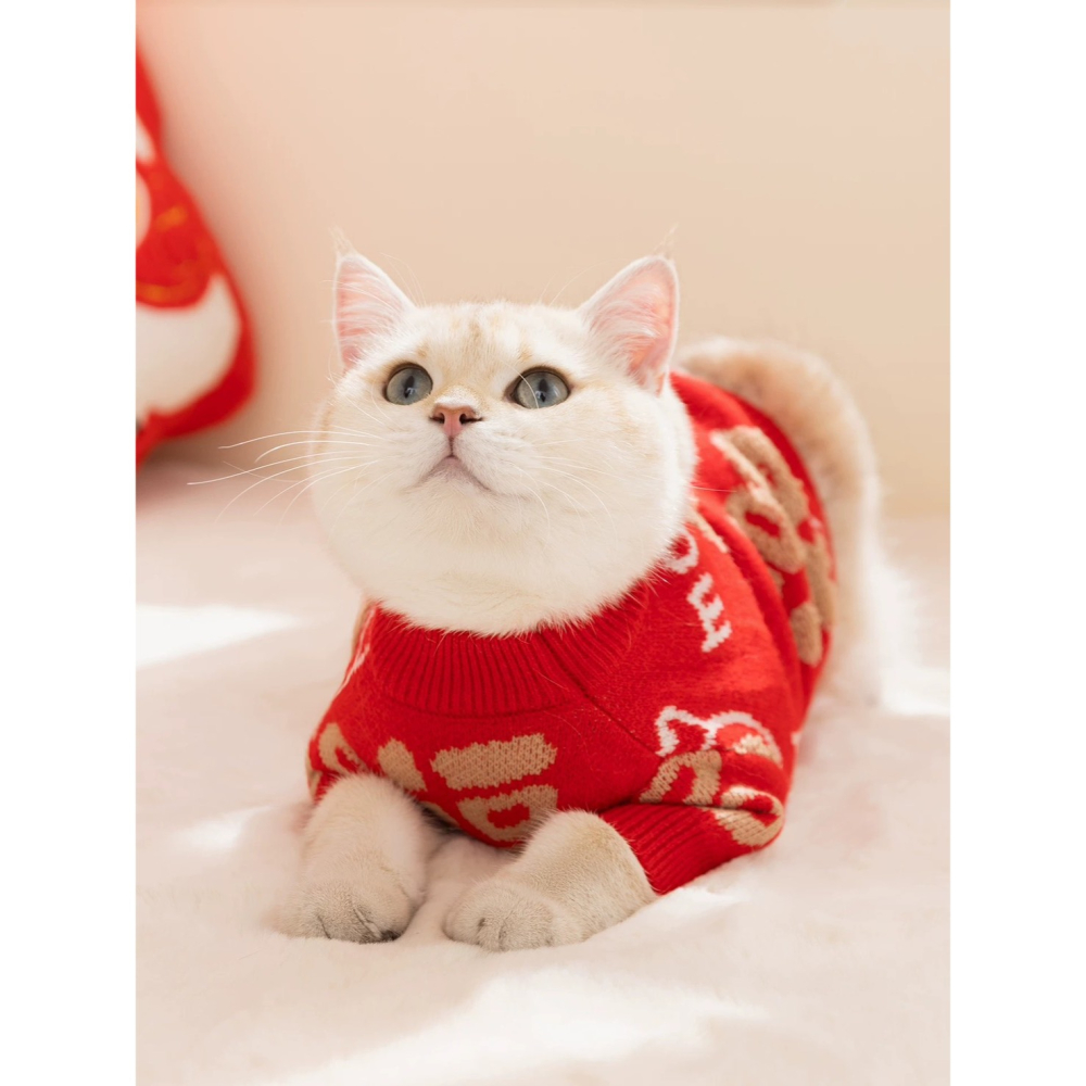 【汪喵森活】新年 春節 紅色毛衣 福字 包芯紗 過年 貓狗過年 寵物服飾 狗衣服 貓咪 貴賓狗 比熊 馬爾濟斯-細節圖10