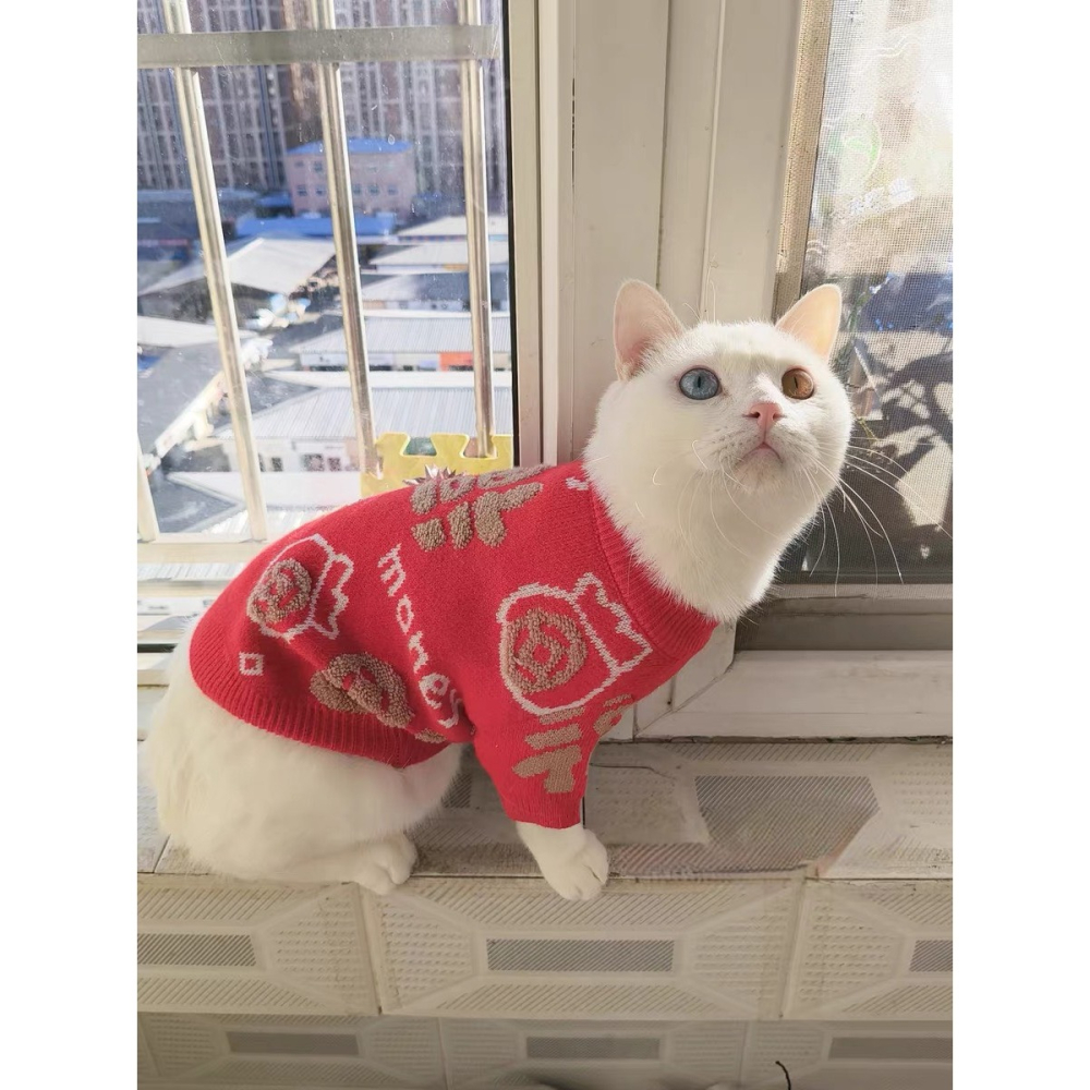 【汪喵森活】新年 春節 紅色毛衣 福字 包芯紗 過年 貓狗過年 寵物服飾 狗衣服 貓咪 貴賓狗 比熊 馬爾濟斯-細節圖11