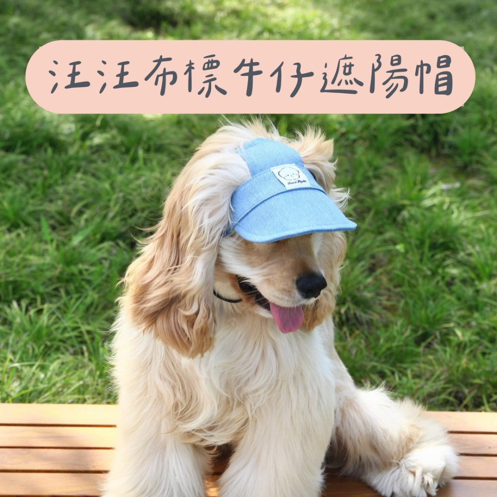 【汪喵森活】汪汪 牛仔 寵物帽子 寵物帽 棒球帽 寵物棒球帽 寵物鴨舌帽 貓咪帽子 寵物遮陽帽 狗帽子 柴犬 夏天帽子-細節圖6