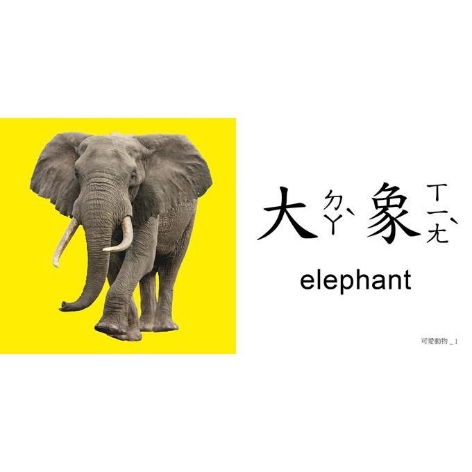 現貨✨FOOD超人聰明認知大圖卡 動物王國/可愛動物/交通工具/日常生活/美味蔬果/趣味123/基礎ㄅㄆㄇ/簡易ABC-細節圖3