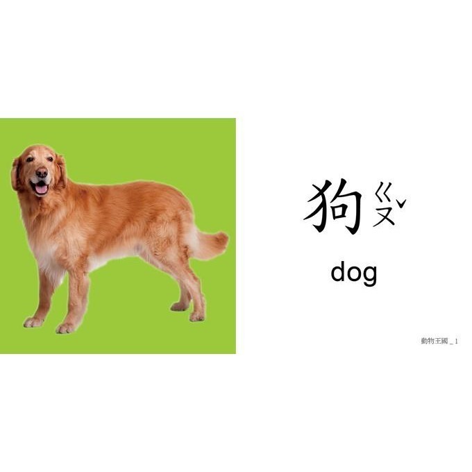 現貨✨FOOD超人聰明認知大圖卡 動物王國/可愛動物/交通工具/日常生活/美味蔬果/趣味123/基礎ㄅㄆㄇ/簡易ABC-細節圖10